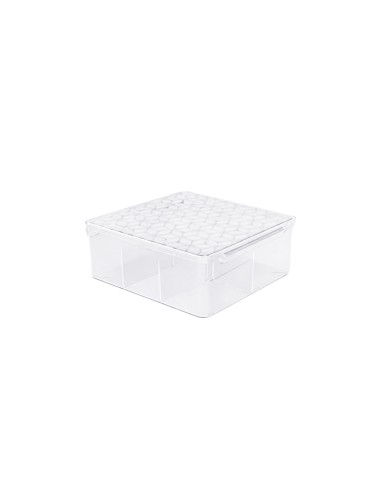 Caixa Organizadora Multiuso 5 Divisorias Tampa...