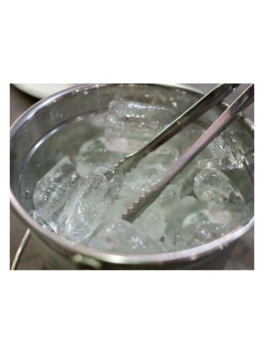 Pegador de Gelo Frios Jacare Inox Mini...