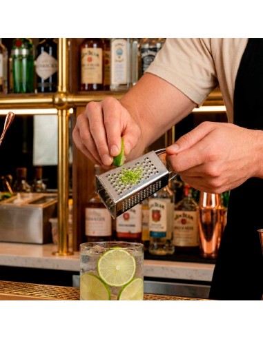 Ralador de Queijo Mini Inox Pequeno 4 Faces...