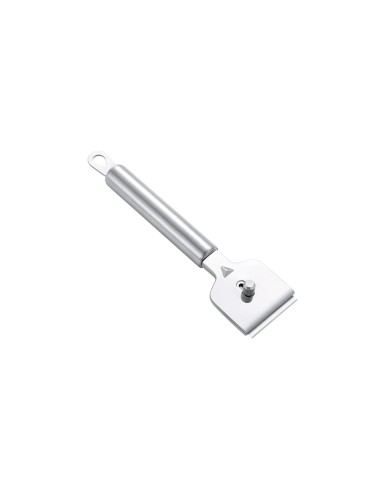 Raspador de Massa Culinario Multiuso Inox...