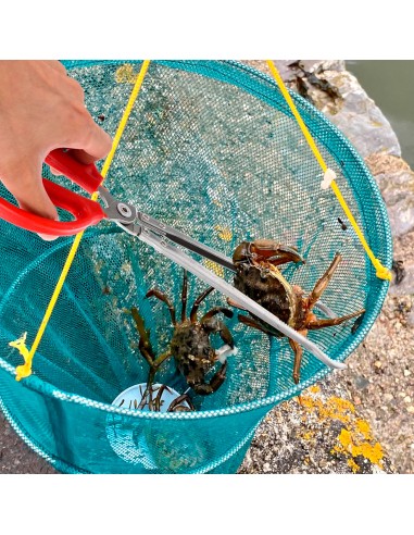 Pegador Pinça Curva de Caranguejo Siri Lagosta...