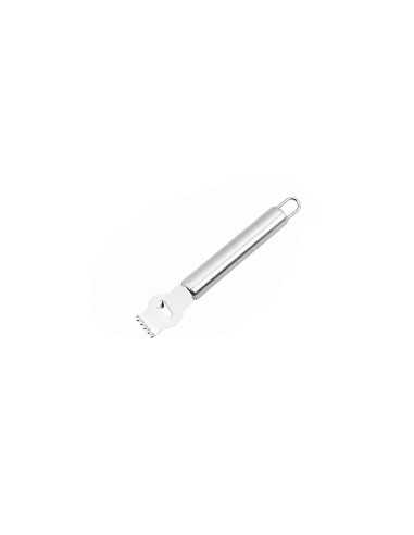 Raspador de Limao Descascador Ralador Inox...