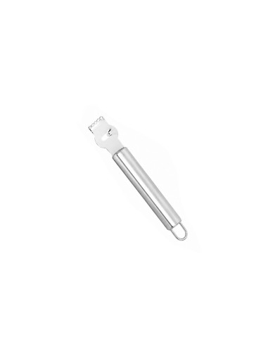 Raspador de Limao Descascador Ralador Inox...