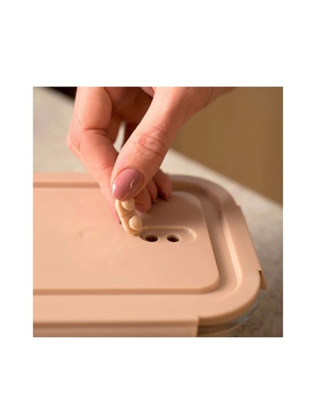 Pote de Vidro Borosilicato Divisoria Tampa Hermetica Nude 1L