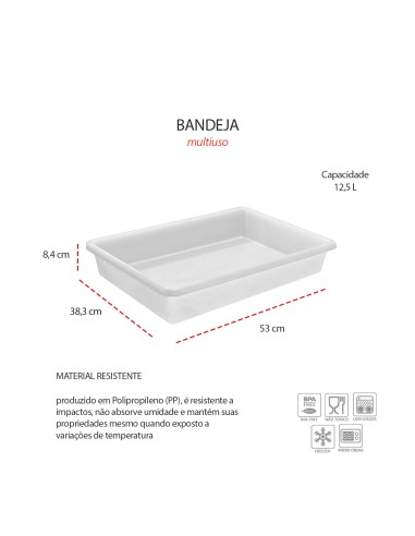 Bandeja Multiuso Organizador Cozinha Plástico...