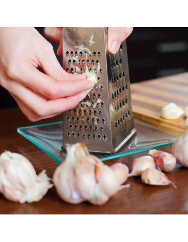 Ralador de Queijo Legumes Frutas 4 Faces Aço Inox