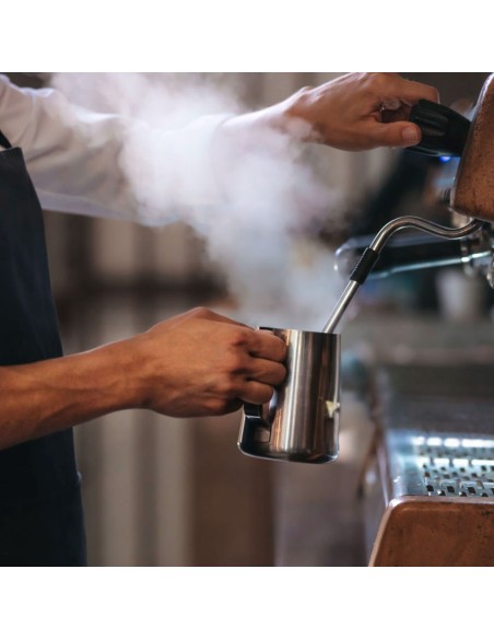 Bule Bico de Pato Chaleira Leiteira Inox Bar Cafeteria 600ml