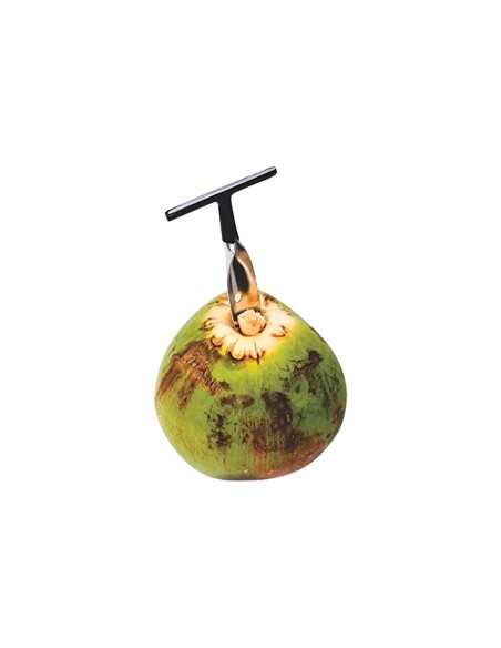 Abridor Furador de Coco Aço Inox Cabo Preto
