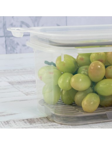 Pote Hermetico Porta Frios Trava Plastico BPA...