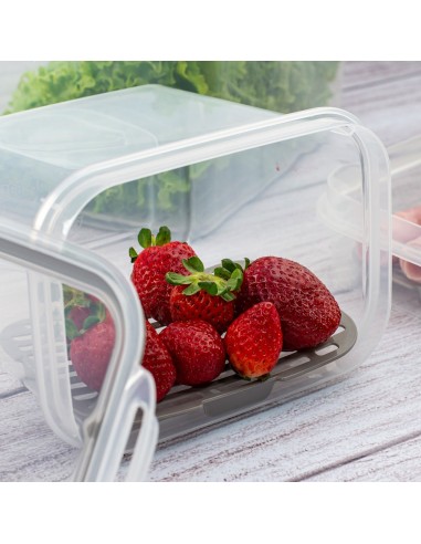 Pote Hermetico Porta Frios Trava Plastico BPA...