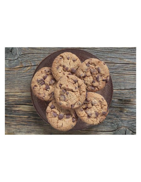 Prato Raso Lanche Marrom 20cm Bar Festa Restaurante BPA Free