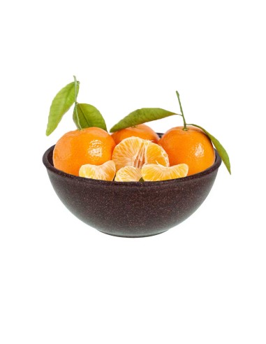 Tigela Bowl Cumbuca Salada Açai Sopa Marrom BPA Free 1L