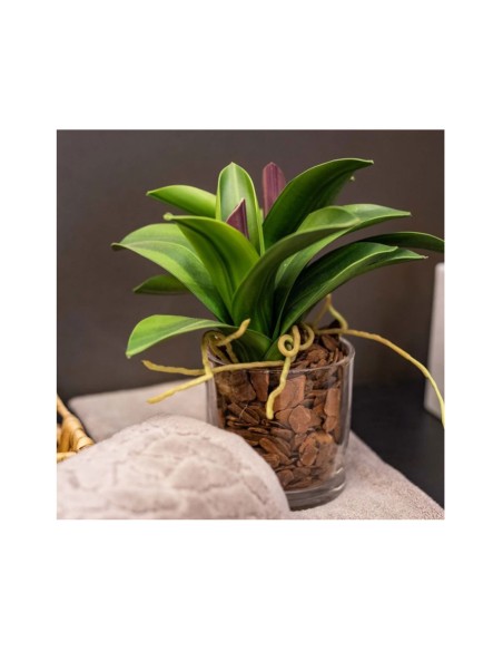 Porta Vela Algodao Pote Vidro Mini Vaso Redondo 180ml