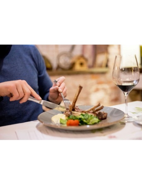 Faca de Mesa Churrasco Inox Resistente Serrilhada Elite 1un