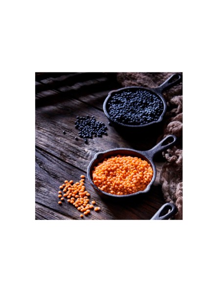 Frigideira Mini Ferro Fundido Fogao Forno Induçao 10cm