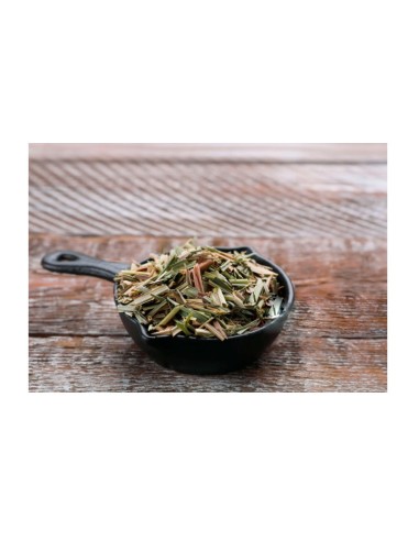 Frigideira Mini Ferro Fundido Fogao Forno...