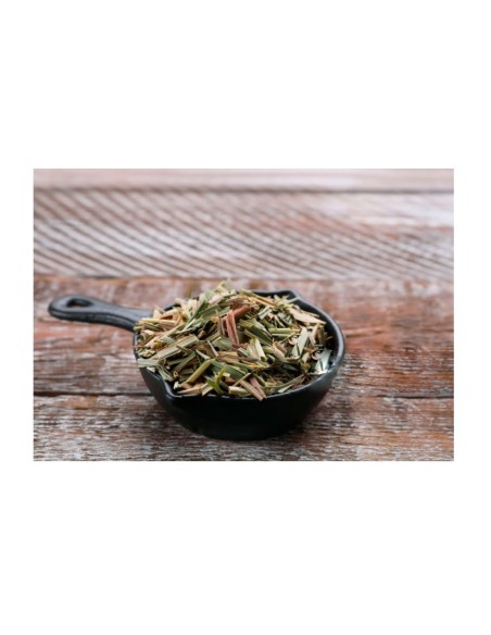 Frigideira Mini Ferro Fundido Fogao Forno Induçao 10cm