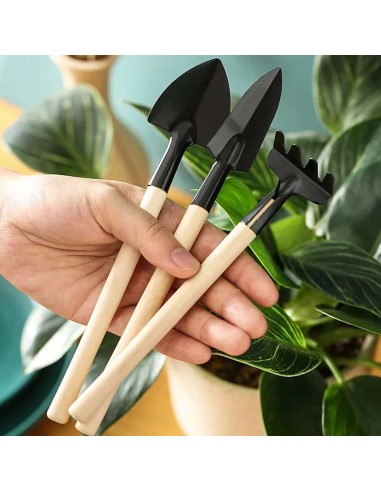 Ferramenta Jardinagem Mini Pazinha Ancinho...