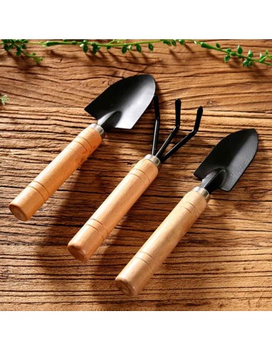 Ferramentas Jardinagem Pazinha Ancinho Ferro...