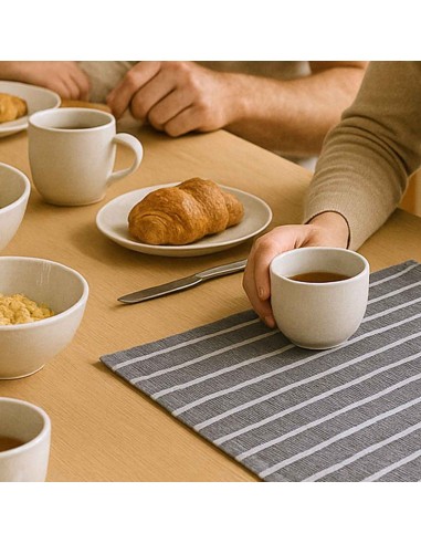 Pano de Prato Copa 40cm Guardanapo Listrado...