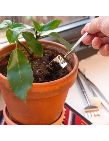 Ferramenta Jardinagem Inox Pa Ancinho Pinça...