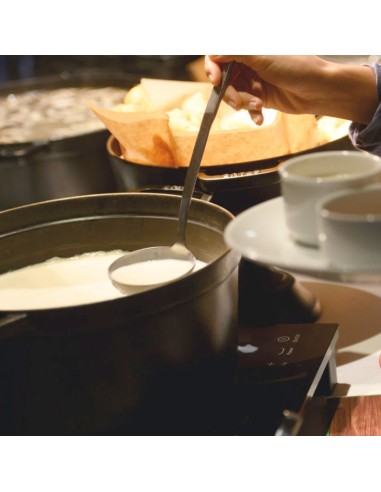 Concha Grande Profissional Inox Buffet...