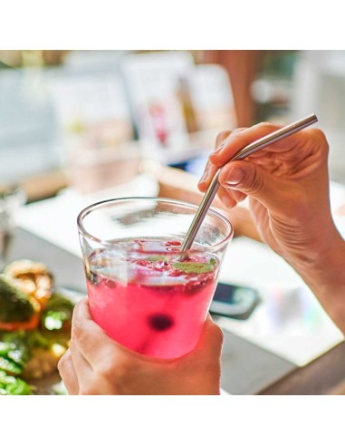 Canudo de Inox Curvo Reutilizavel Escovinha...