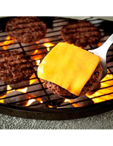 Espatula Grande Profissional Cabo Longo Aço...