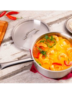 Panela com Tampa Cabo Aço Inox Fundo Triplo 20cm 2,5L 2