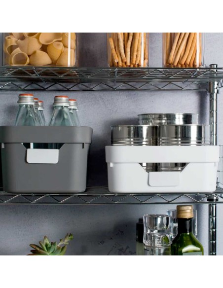 Placa Identificadora Cestos Caixas Organizador Multiuso 4un