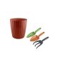 Vaso de Planta Terracota e Ferramentas Tramontina Jardinagem