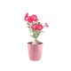 Vaso de Planta Rosa Cesto Horta Groove 22 cm